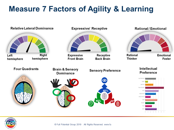 Measure 7 factors of agility and learning