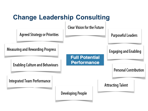 Change leadership consulting