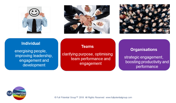 Individual, team and organisation Motivational Maps Individual, team and organisation Motivational Maps