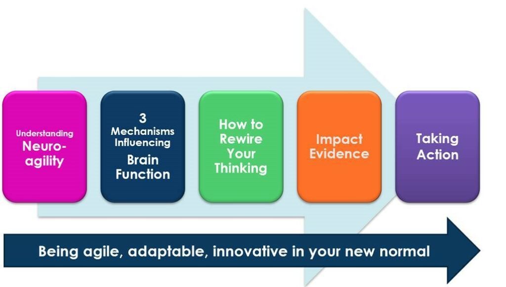 Improving your brain fitness and learning agility