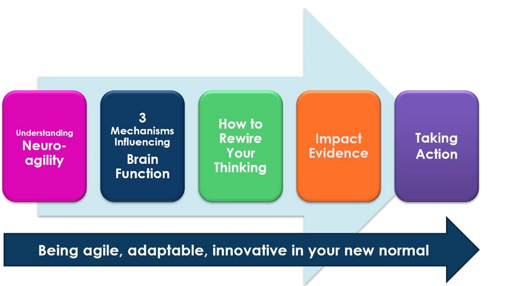 Improving Your Brain Fitness And Learning Agility